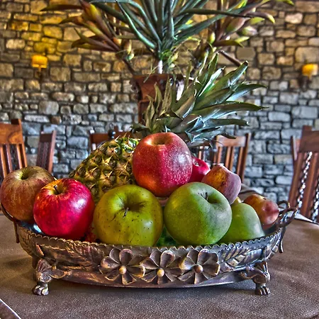 酒店 杜普尼豪斯酒店 3*